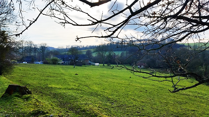Une vue prise du chemin du parcours Flaubert.